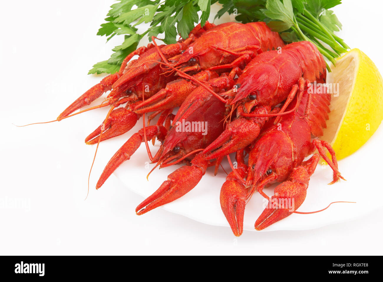 Boiled crayfish in the plate on white background Stock Photo