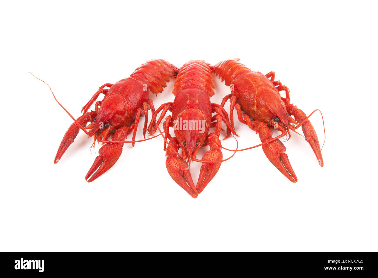 three boiled crayfish on a white background Stock Photo
