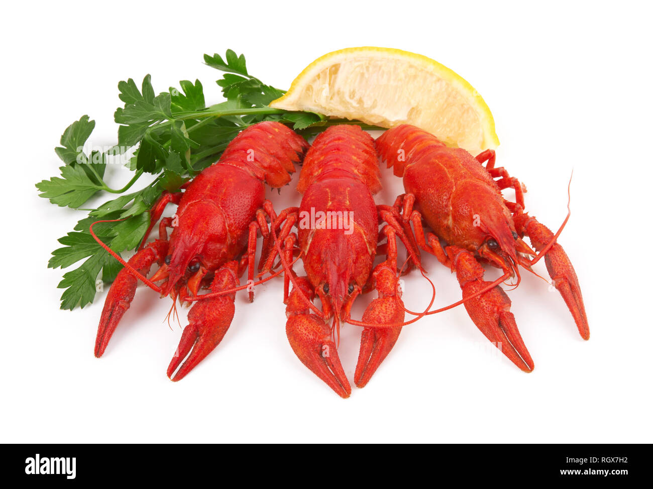 three boiled crayfish on a white background Stock Photo