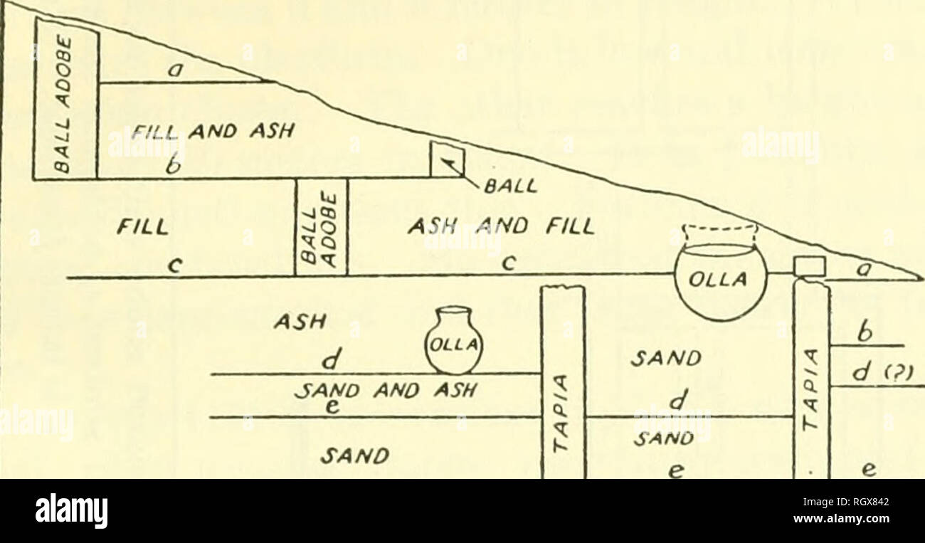 Bulletin Ethnology Willey Settlement Patterns Viru Valley