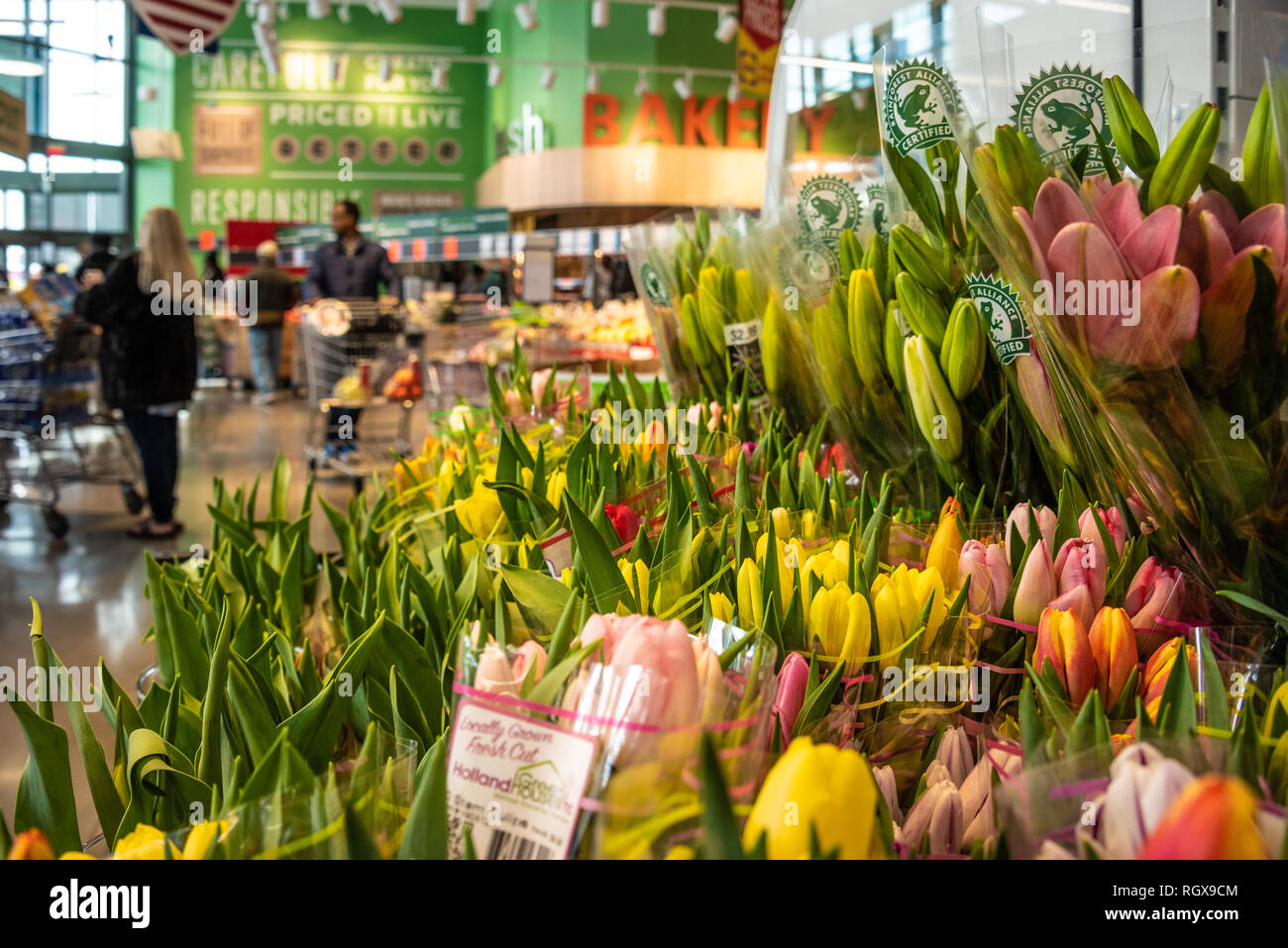 Colorful fresh flowers at a Lidl discount supermarket in Metro Atlanta, Georgia. (USA) Stock Photo