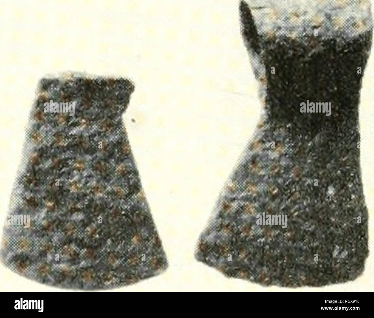 Bulletin Ethnology Cx 1 9aah Lt Ajlb Ft G 9 F P W Lt Wp M Mo 6 0 N O O 9 Quot Quot O