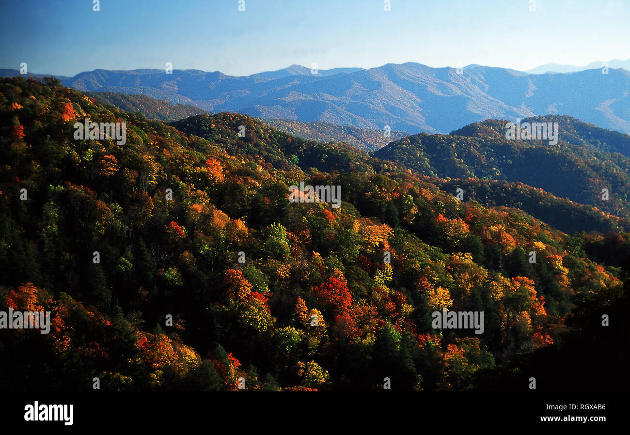 Great Smoky Mountains Fall Foliage 2025 Anna Delilah