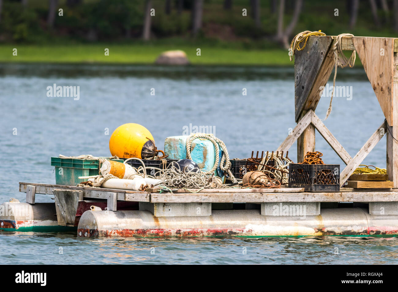 Oyster farming in the Damariscotta River, Maine, with traps and cages