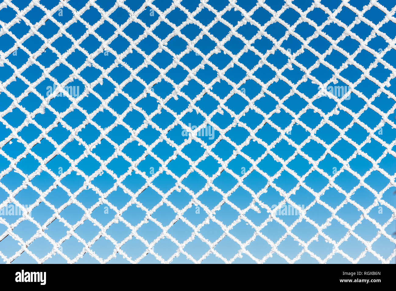 Mesh netting covered frost hi-res stock photography and images - Alamy