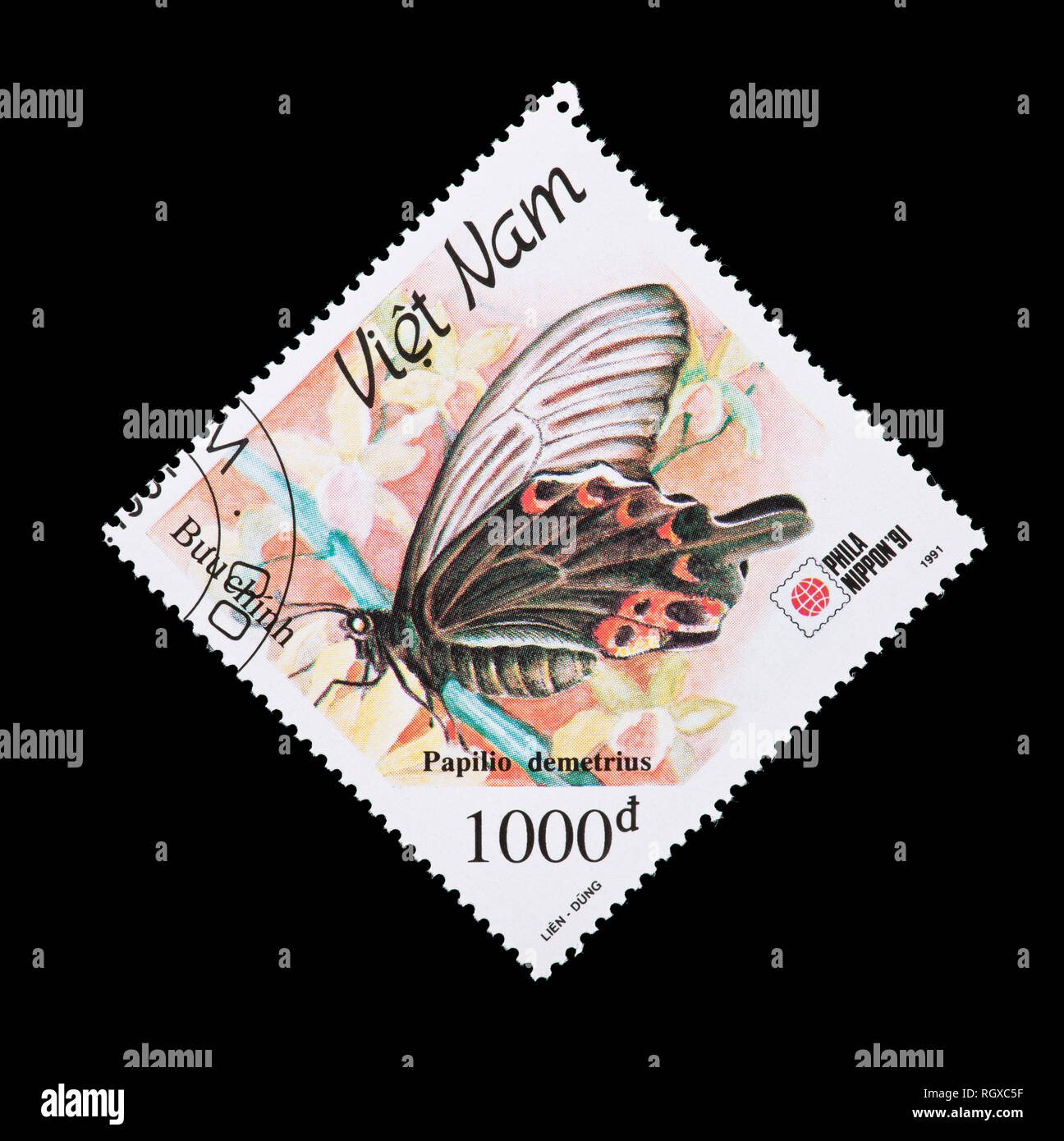 Postage stamp from Vietnam depicting a Spangle butterfly (Papilio protenor demetrius) Stock Photo