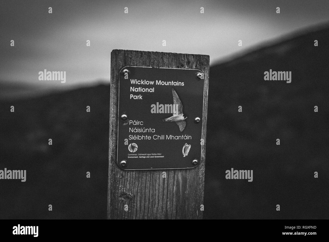 Signpost marking Wicklow Mountains National Park along the hiking trail below the Seefin Mountain summit. Black and white. Ireland Stock Photo