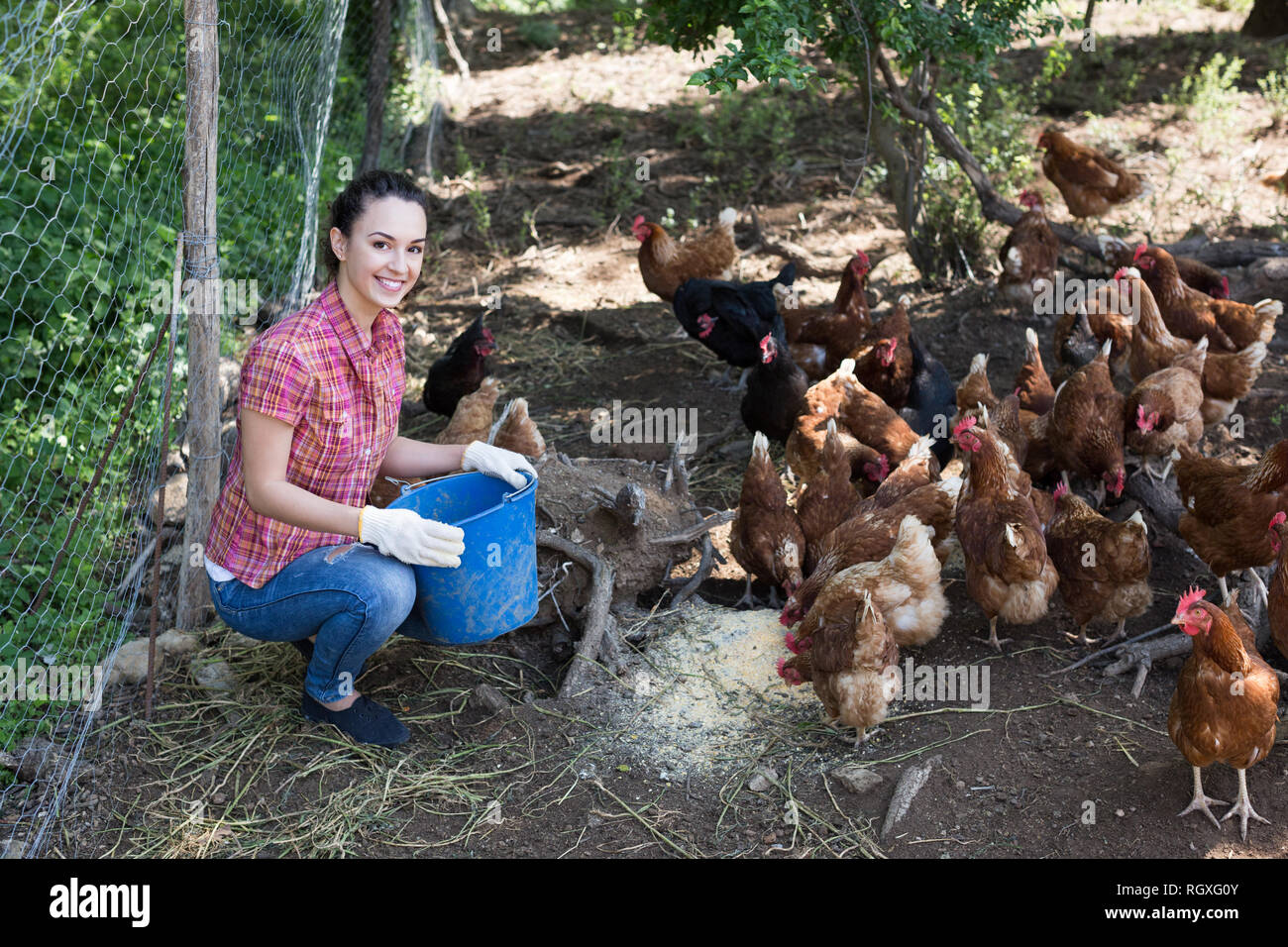 Smiling female farmer giving feeding stuff to chickens on poultry farm ...