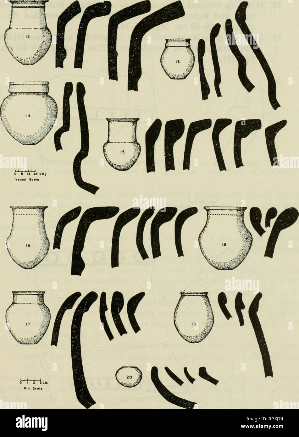Bulletin. Ethnology. MB6GRBS AND BTANS] ARCHEOLOGY AT MOUTH OP AMAZON 529  12. Large burial jars with rounded body, tall vertical neck and everted rim  expanding in thickness toward a square or