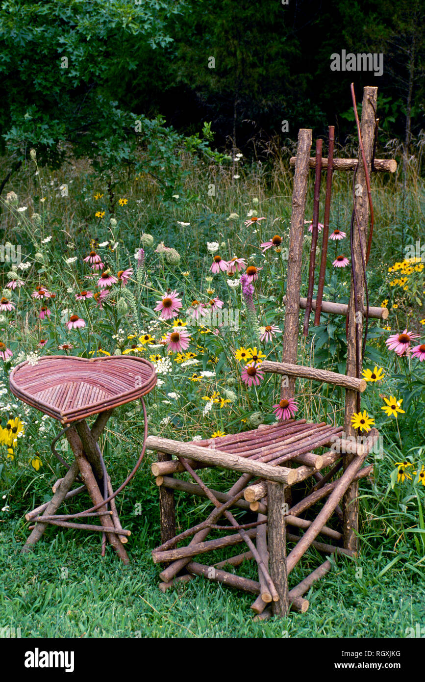 Beautiful handmade chair and heart staped table of red stem dogwood beside native wildflowers, July, Missouri, USA Stock Photo