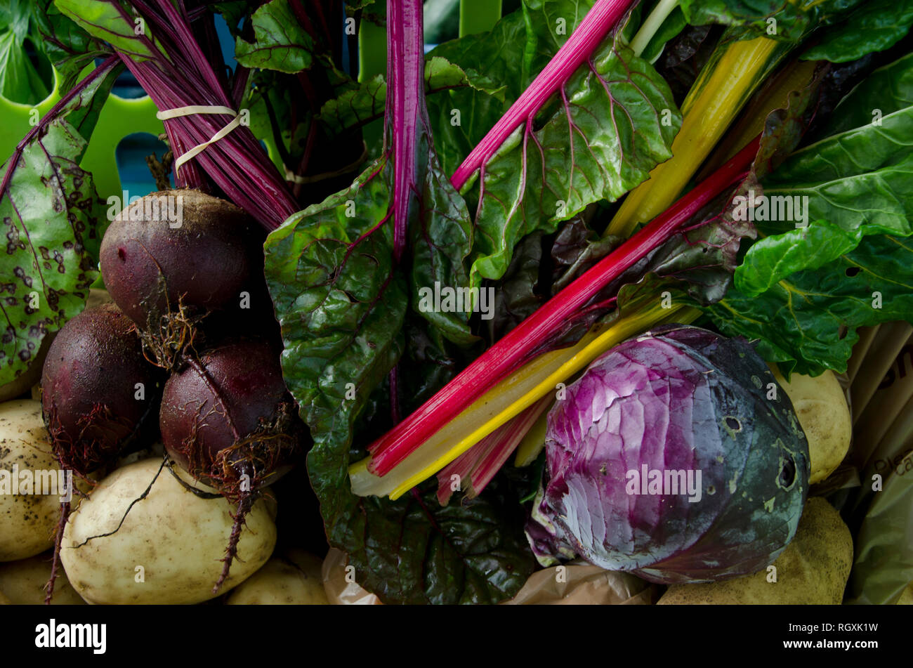 Maine potato hires stock photography and images Alamy