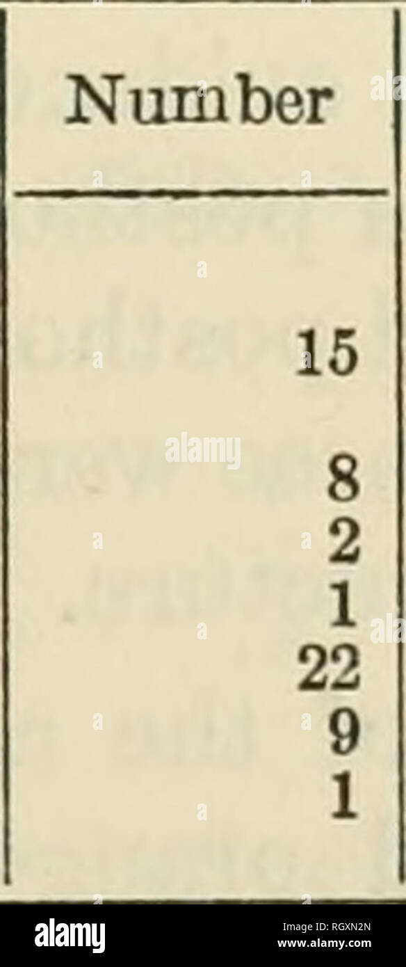 Bulletin Ethnology 5 P P P Plains Apache Archeology