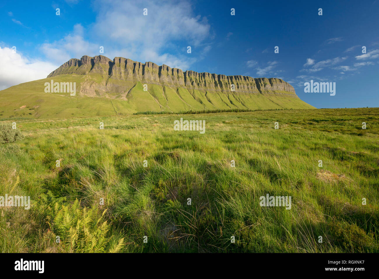 Open grassland beneath Benbulbin Mountain, County Sligo, Ireland. Stock Photo