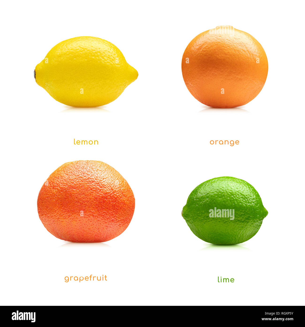 Lemon, lime, orange, grapefruit fruits set isolated on white background