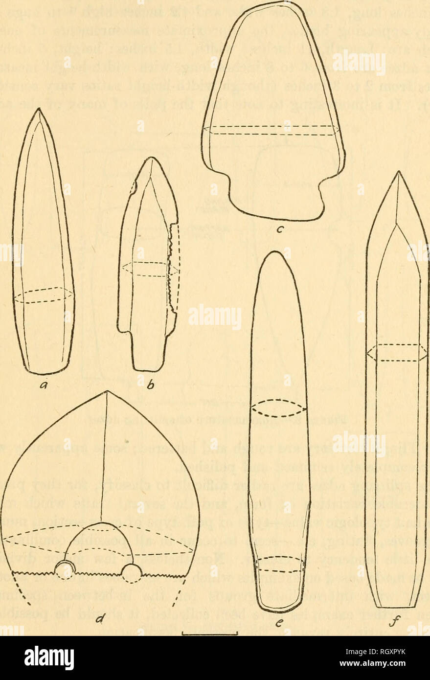 . Bulletin. Ethnology. Anthrop. Pap. No. 20] NORTHERN NW. COAST ARCHEOLOGY—DRUCKER 43 Splitting adzes.—The designation of heavy adze blades modified (usually by a one-quarter groove) for hafting to a T-shaped handle. ONS IhKH Figure 7.—Ground slate points. , Type I (AMNH E/122). Angoon, Alaska. 6, Type I (AMNH E/1803). Sitka, c. Type lA (NMC VII-B-207). N. Saanich. d. Type lA (USNM). SE. Alaska. (Sketch, scale approx.) e. Type II (AMNH B/122). Angoon, Alaska. /=, Type II (PMBC 983). N. Saanich. as &quot;splitting adzes,&quot; in accordance with de Laguna's suggestion (1934, p. 57), is a conven Stock Photo