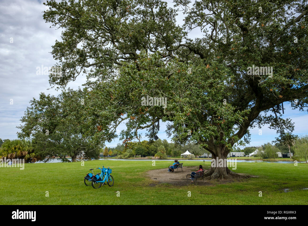 The Singing Oak Tree, or Chime Tree, by artist Jim Hart, New Orleans City Park, New Orleans, Louisiana, USA Stock Photo