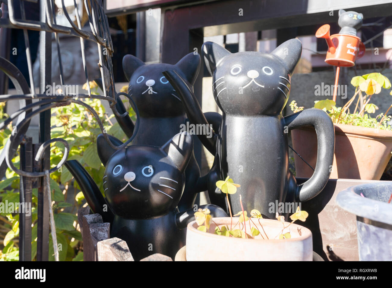 Imado Jinja Taito Ku Tokyo Japan Here Is Famous For Beginning Place Of Manekineko Beckoning Cat Stock Photo Alamy Imado Jinja Taito Ku Tokyo Japan Here Is Famous For Beginning Place Of Manekineko Beckoning Cat Stock Photo Alamy