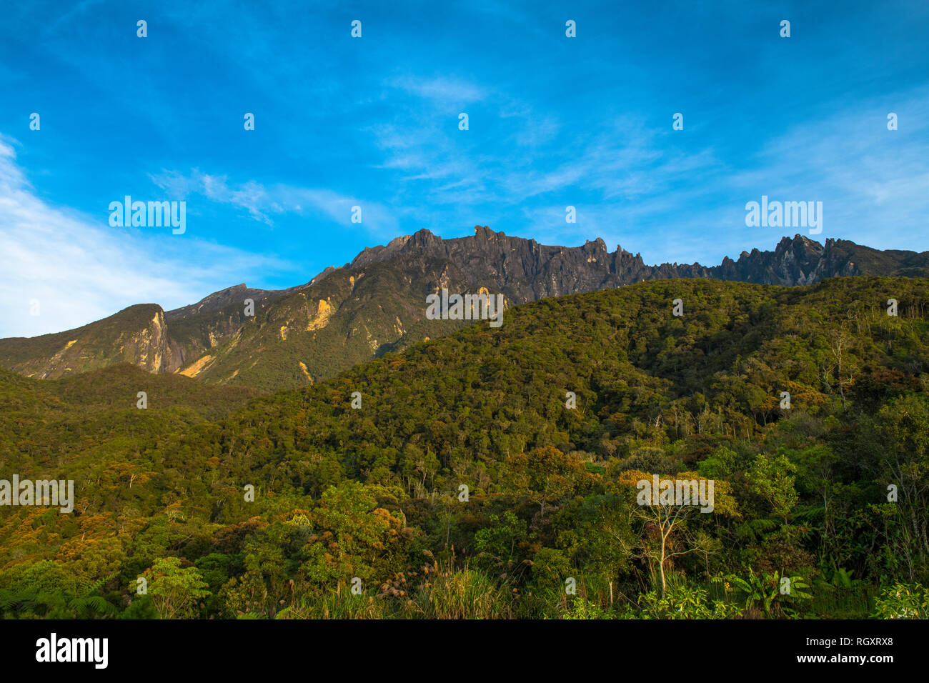Mount Kinabalu peaks and rainforest covered slopes in dawn light, from Mesilau, Sabah, Borneo, Malaysia. Stock Photo