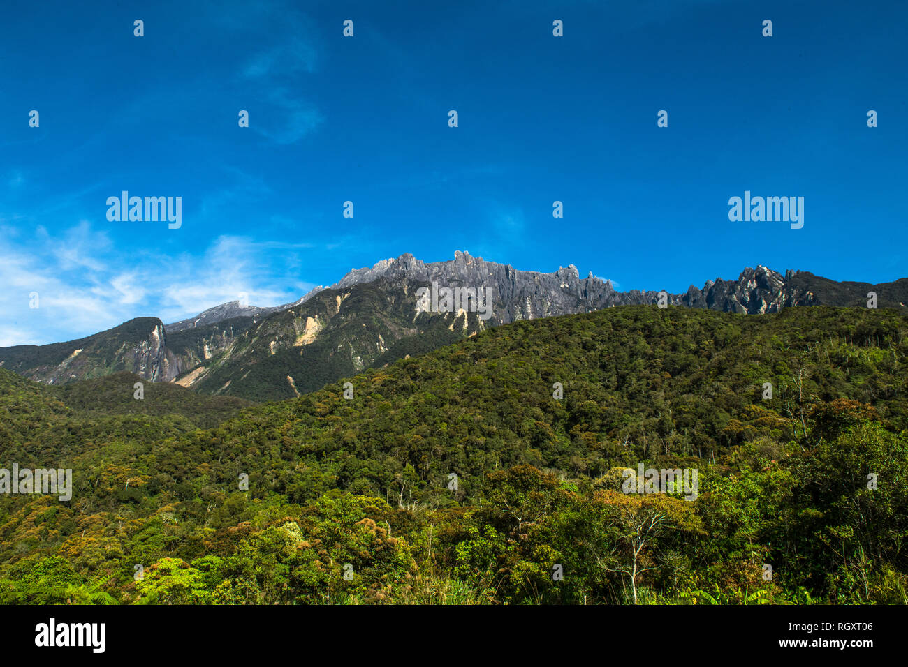 Mount Kinabalu summit and peaks in sunrise light, viewed from Mesilau, Sabah, Borneo, Malaysia, with forest slopes in the foreground. Stock Photo