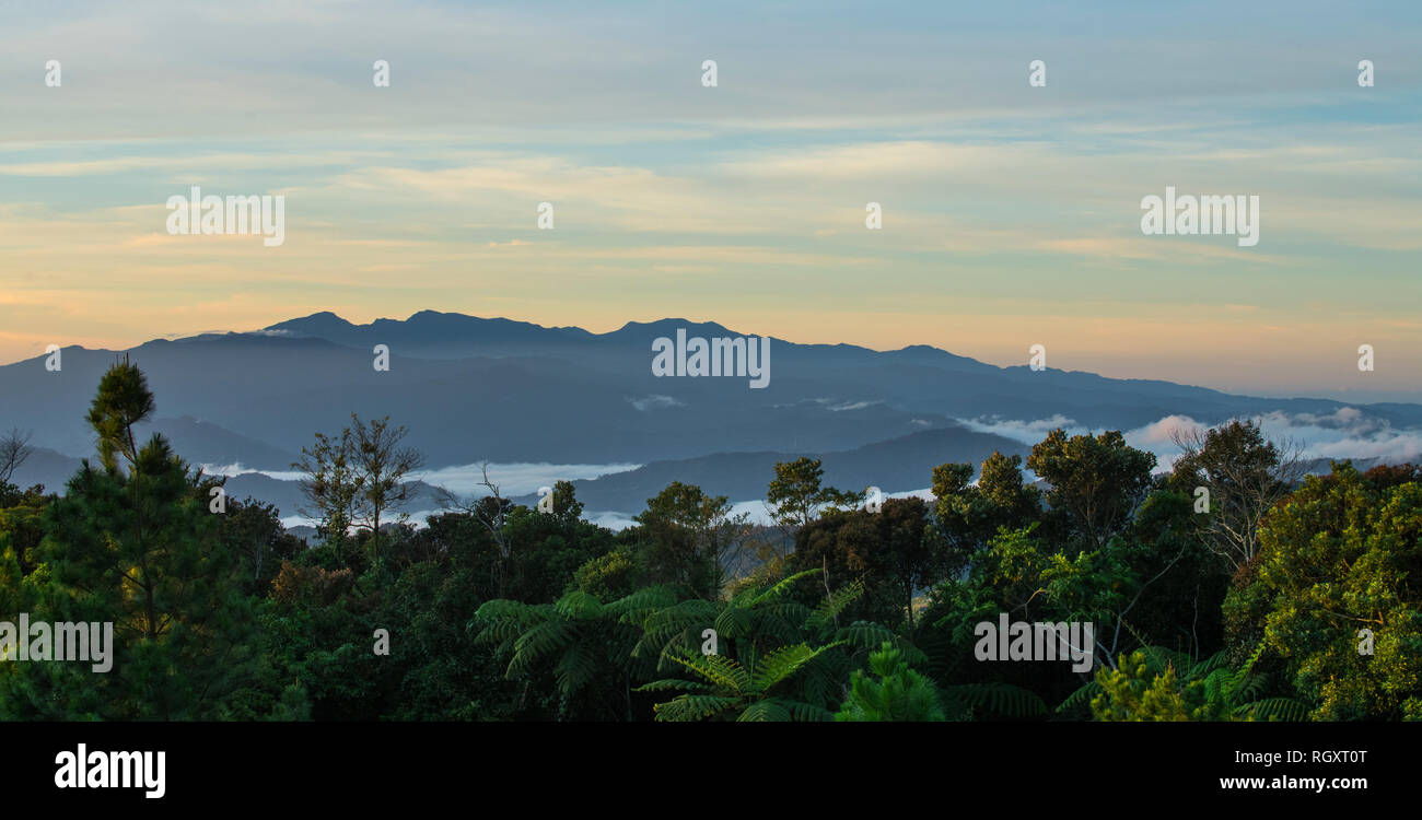 Dawn silhouette of Mount Trusmadi on the horizon viewed from Mesilau on Mount Kinabalu, in Sabah, Borneo, Malaysia, with forest in the foreground. Stock Photo