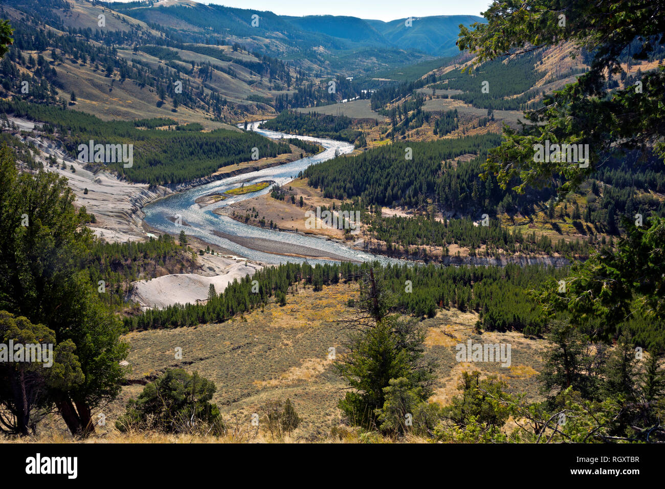 WY03071-00...WYOMING - The Grand Canyon of the Yellowstone River viewed from Specimen Ridge in Yellowstone National Park. Stock Photo