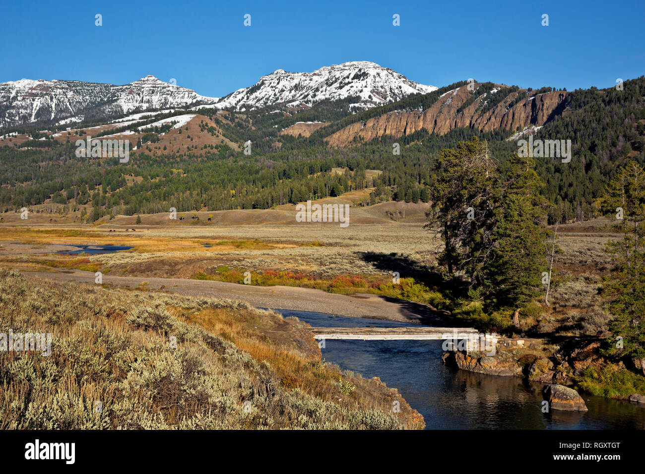 Thunderer in yellowstone hi-res stock photography and images - Alamy