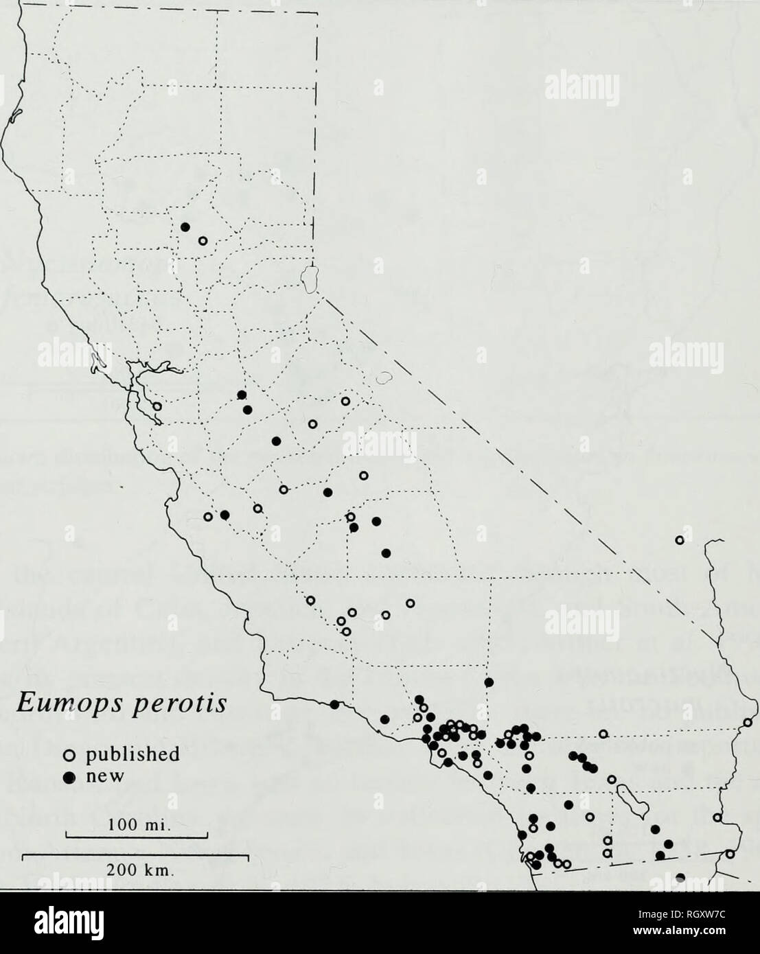 . Bulletin. Science. 62 SOUTHERN CALIFORNIA ACADEMY OF SCIENCES. Eumops perotis O published • new Fig. 8. Known distribution of the western mastiff bat, Eumops perotis californicus, in California and adjacent border areas. ported heretofore from the Imperial Valley, Imperial Co., the Coachella Valley north of Mecca, Riverside Co. (Grinnell 1918), from elsewhere in Riverside Co. except 4 mi SW of Lakeview (Vaughan 1959), from San Bernardino Co. except Colton (Grinnell 1918; Howell 1920a) and Keys Ranch (Campbell 1931), which apparently was a sight record. Counties represented herein from which  Stock Photo