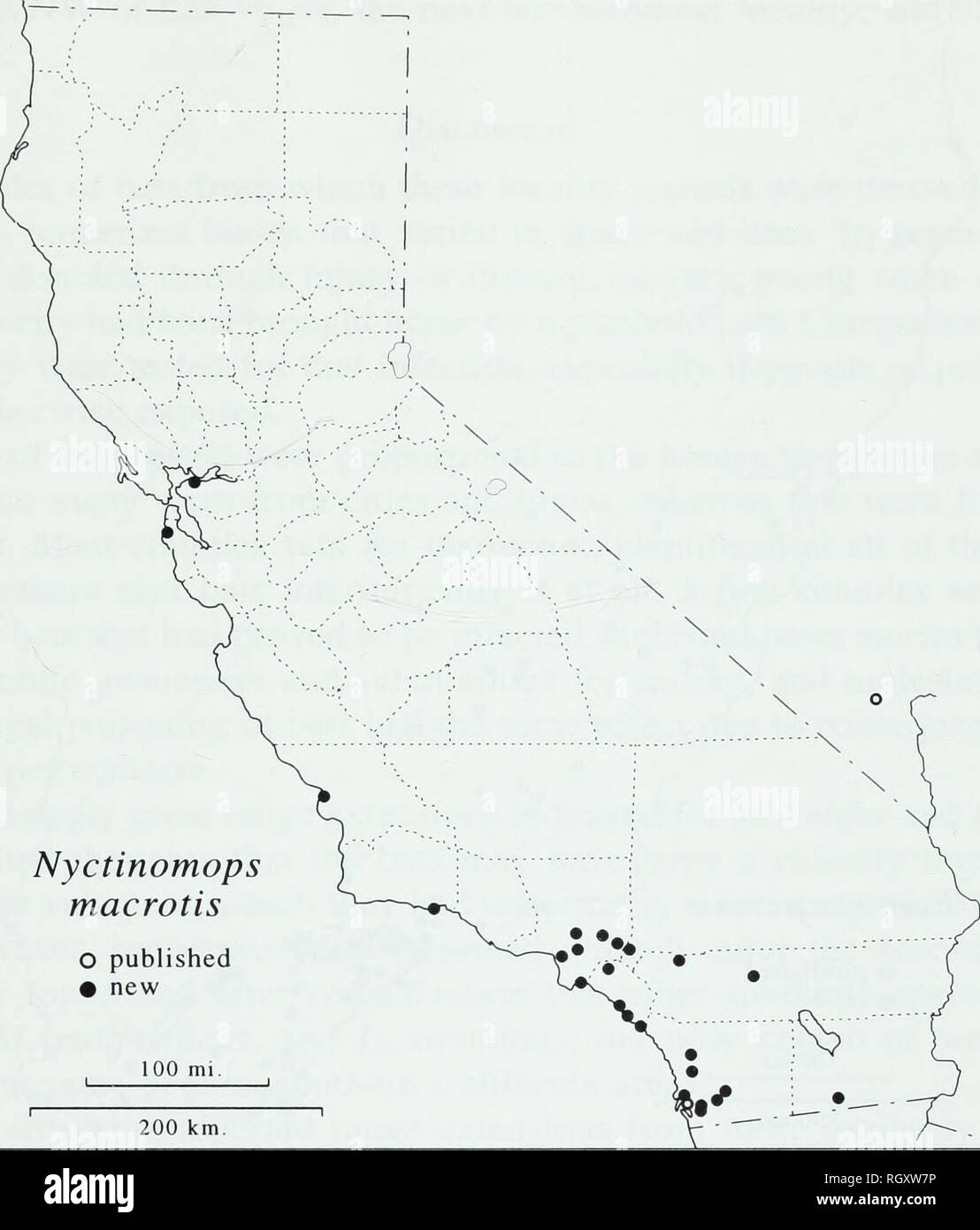 . Bulletin. Science. RANGE EXTENSIONS OF BATS IN CALIFORNIA 61. Fig. 7. Known distribution of the big free-tailed bat, Nyctinomops macrotis, in California and adjacent Nevada. for rabies in Califomian coastal counties north of the vicinity of San Francisco, rendering nearly meaningless the absence of specimens of this rare bat from those counties. Western mastiff bat Eumops perotis californicus (Merriam 1890) This insectivorous subspecies has been reported from California to Texas south- ward to at least central Mexico, whereas other subspecies are recorded from north- em South America southwa Stock Photo