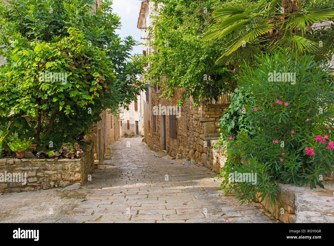 The historic hill village of Bale (also called Valle) in Istria, Croatia  Stock Photo - Alamy