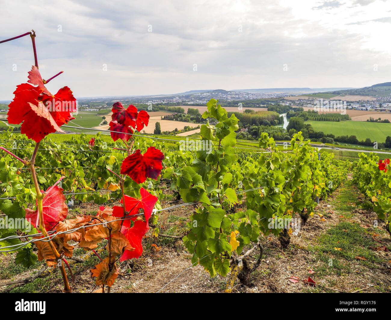 Dom Perignon, Cumieres, Champagne, Marne, France, Europe Stock Photo