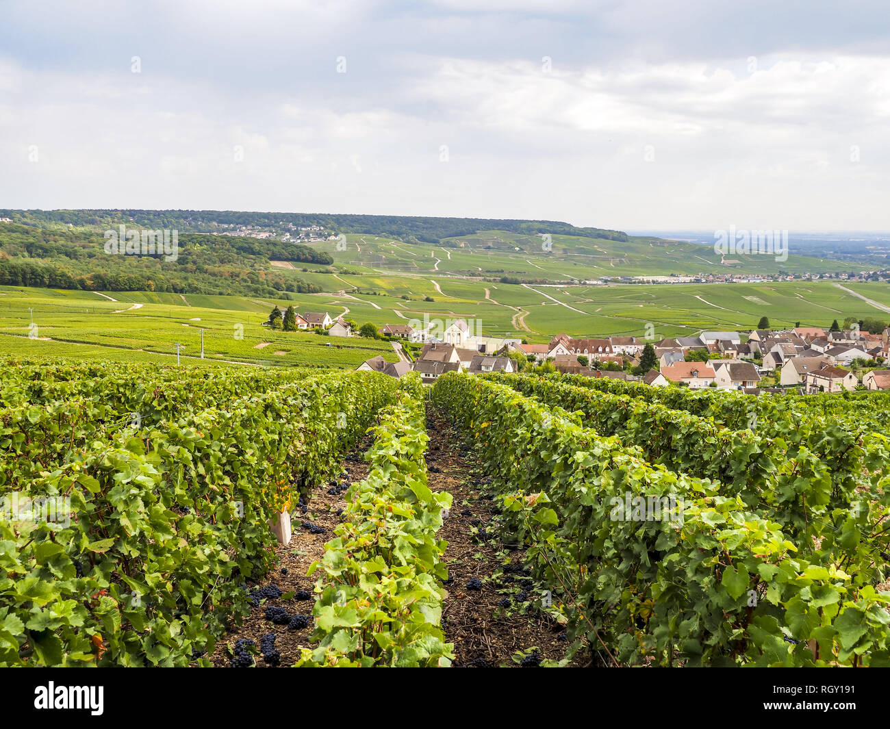 Dom Perignon, Hautvillers, Champagne, Marne, France, Europe Stock Photo