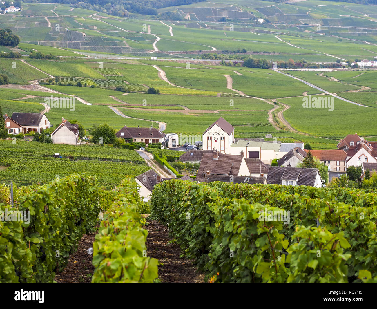 Dom Perignon, Hautvillers, Champagne, Marne, France, Europe Stock Photo ...