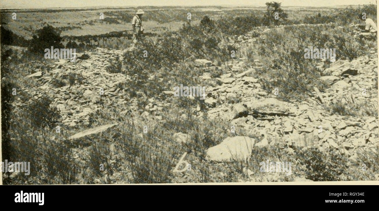 Bulletin. Ethnology. Excavated tipi ring at 39FA13, Angostura Reservoir, S.  Dak. Stones marking tipi ring are underlain in center foreground bv an  older rock-filled hearth consisting in part of broken manos
