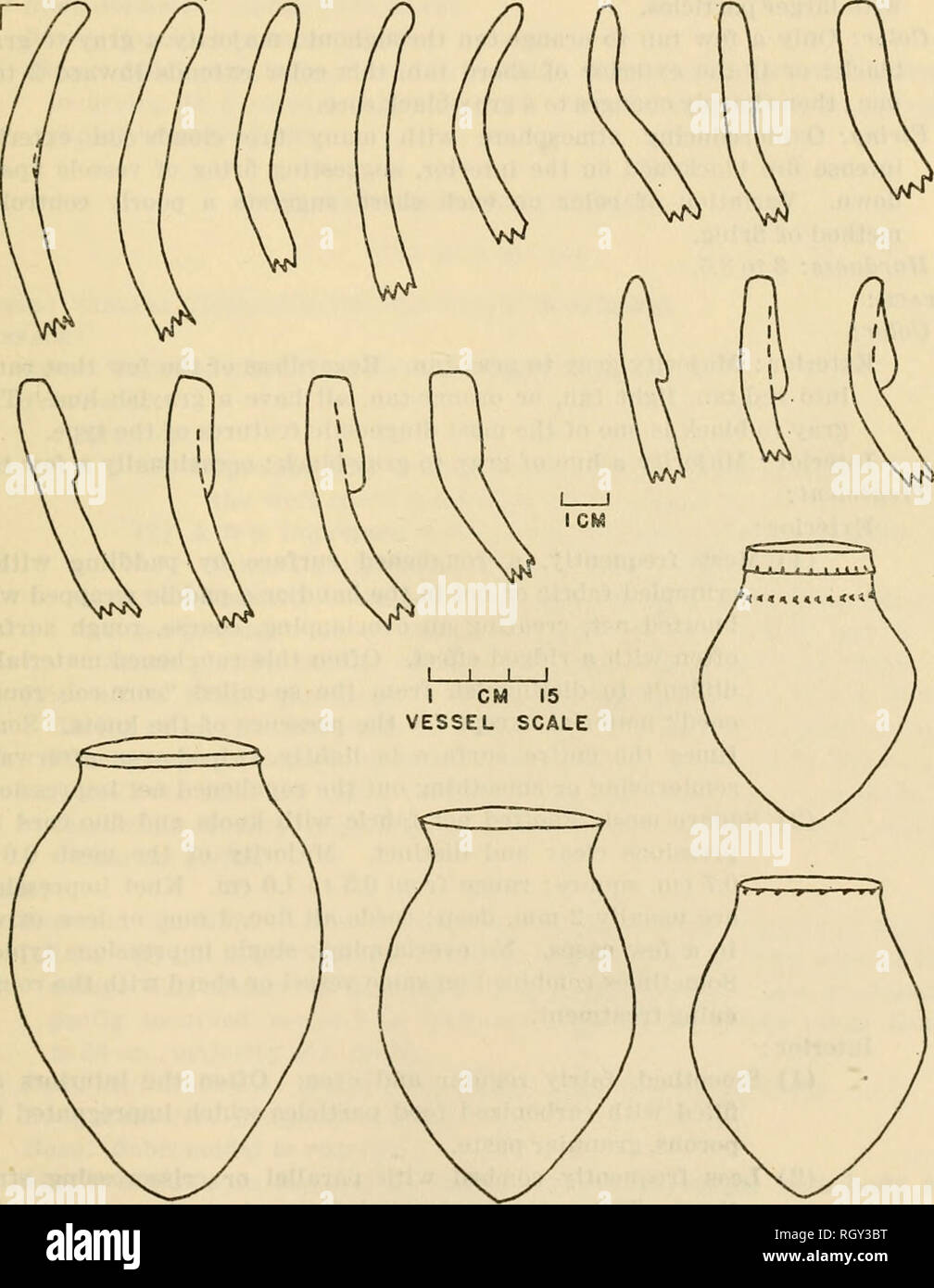 . Bulletin. Ethnology. Evans] A CERAMIC STUDY OF VIRGINIA ARCHEOLOGY 49 Body wall thickness: 0.5 to O.G cm. Body diameter: 26 to 28 cm. Base: No sherds; probably rounded or subconoidal, as is typical of the Chickahominy Series. Shape: Probably a pot form with slightly outsloping sidewalls. CLARKSVILI.E SERIES The Clarksville Series consists of a group of pottery types on a ware typically gray-tan to gray-orange, fired in a poorly controlled, oxidoredncing atmosphere, with a sandy to gritty texture, sand temper ranging from fine to medium particles, but never reaching fine gravel, and with dist Stock Photo