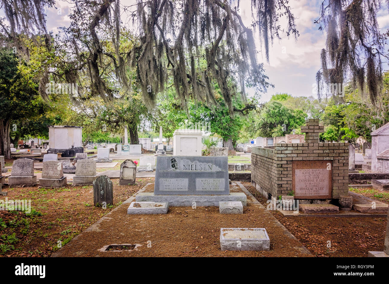 Spanish Moss And Mississippi High Resolution Stock Photography and Images Alamy