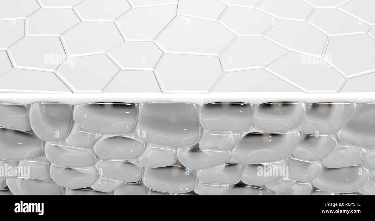 A cross section scientific view of a skins top layer and eperdermis cells sub layer beneath it on an isolated background - 3D render Stock Photo