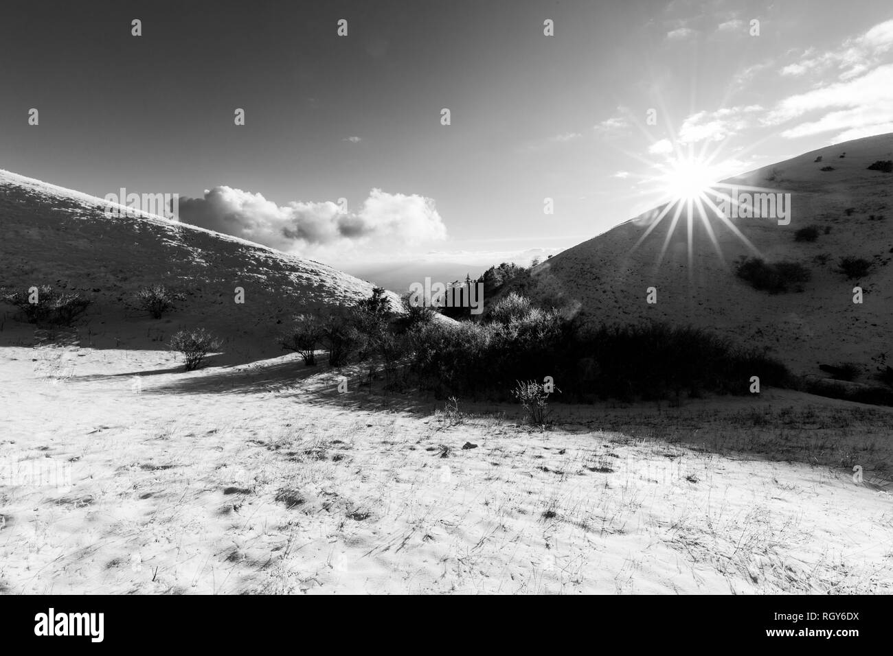 Subasio mountain (Umbria, Italy) in winter, covered by snow, with plants and sun Stock Photo