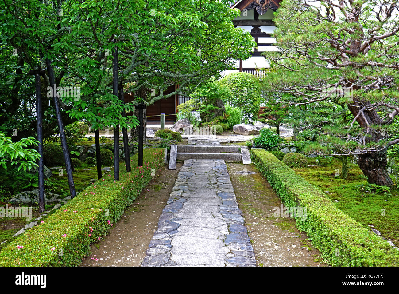 The Japan traditional zen garden, gray stone road, green plants and trees Stock Photo