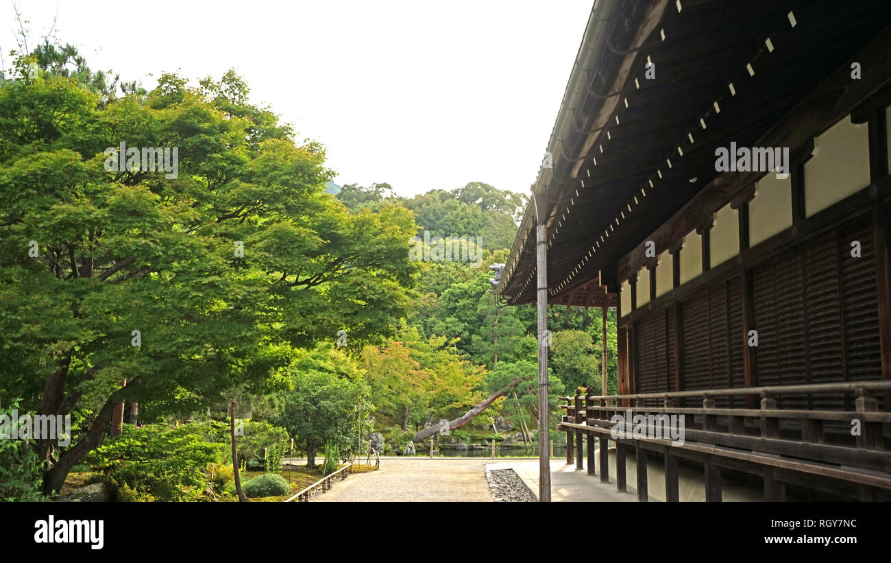 The Japan traditional tample, zen garden, backyard footpath, green plants and trees Stock Photo