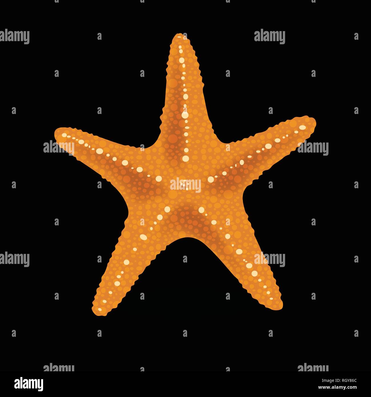 Realistic Colorful Starfish on black Background. Stock Vector