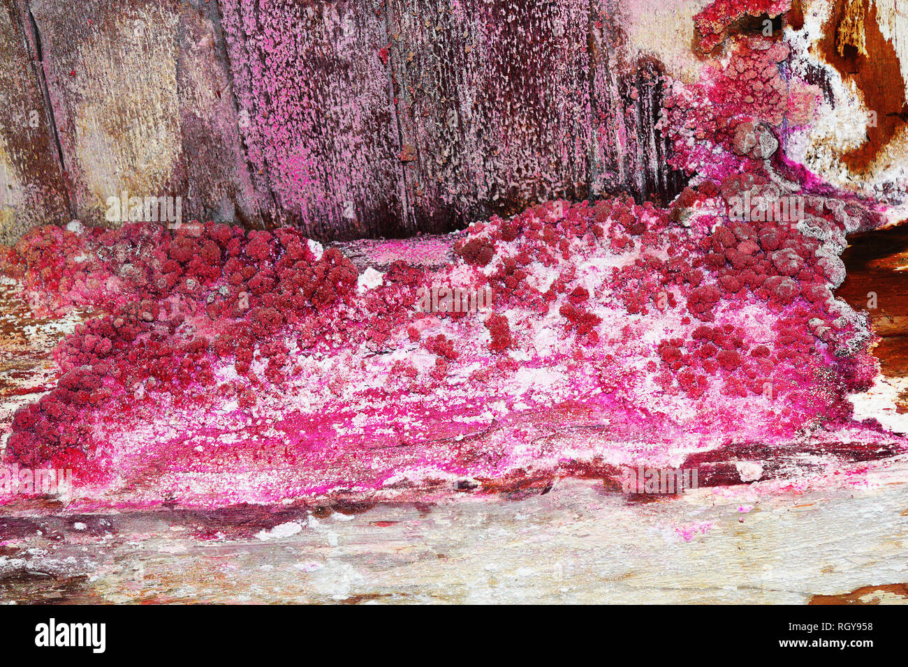 fungal decay on construction wooden beam, result of dampness in old wood house Stock Photo