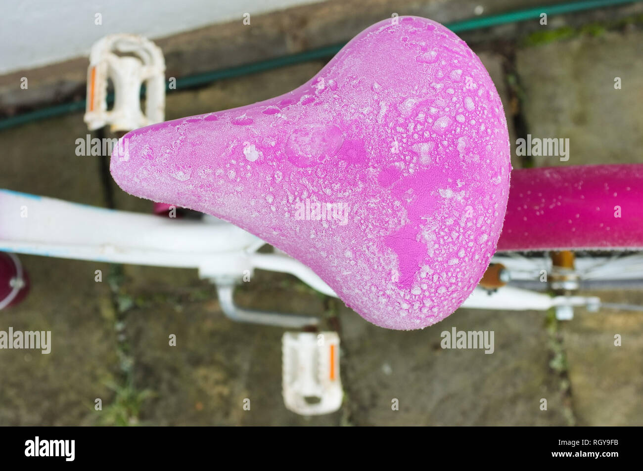 Morning frost on a child's pink bicycle seat. UK. 2019 Stock Photo