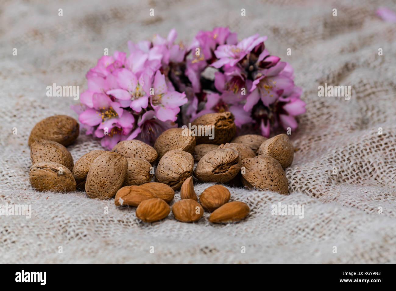 Almonds on sack surface,  with almond flowers background Stock Photo