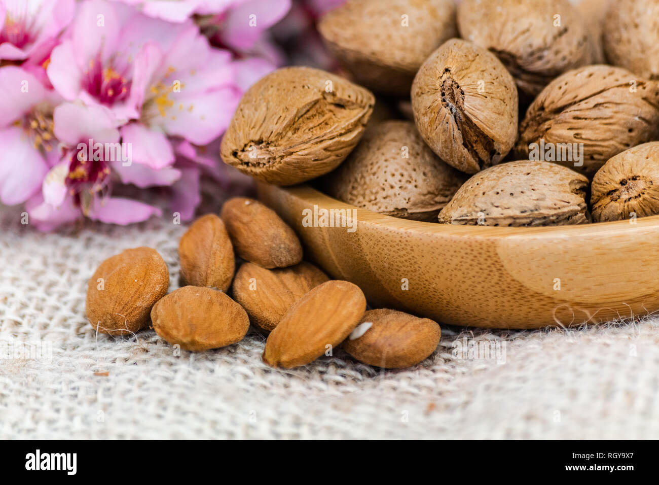 Almonds with shell in wooden bowl, almonds spilled on sack surface, with almond flowers background Stock Photo