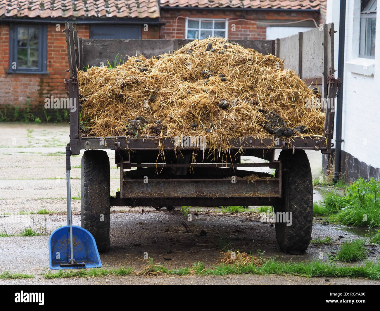 Mucking out the stables hires stock photography and images Alamy