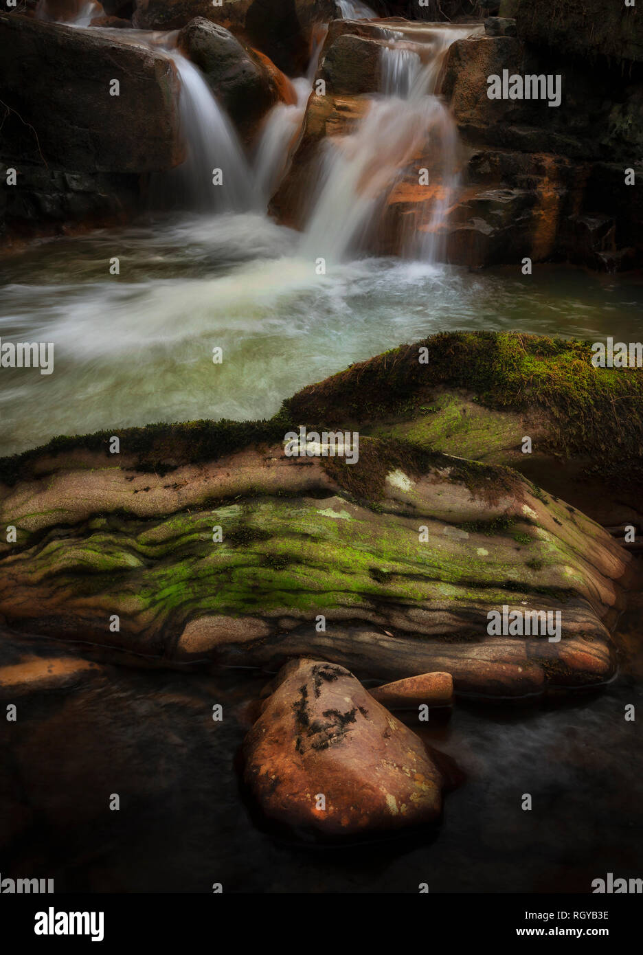 Rock pool at Melincourt Brook falls Stock Photo