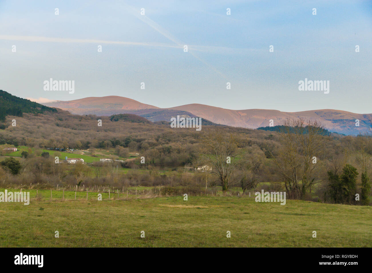 dawning in the field in a winter day Stock Photo
