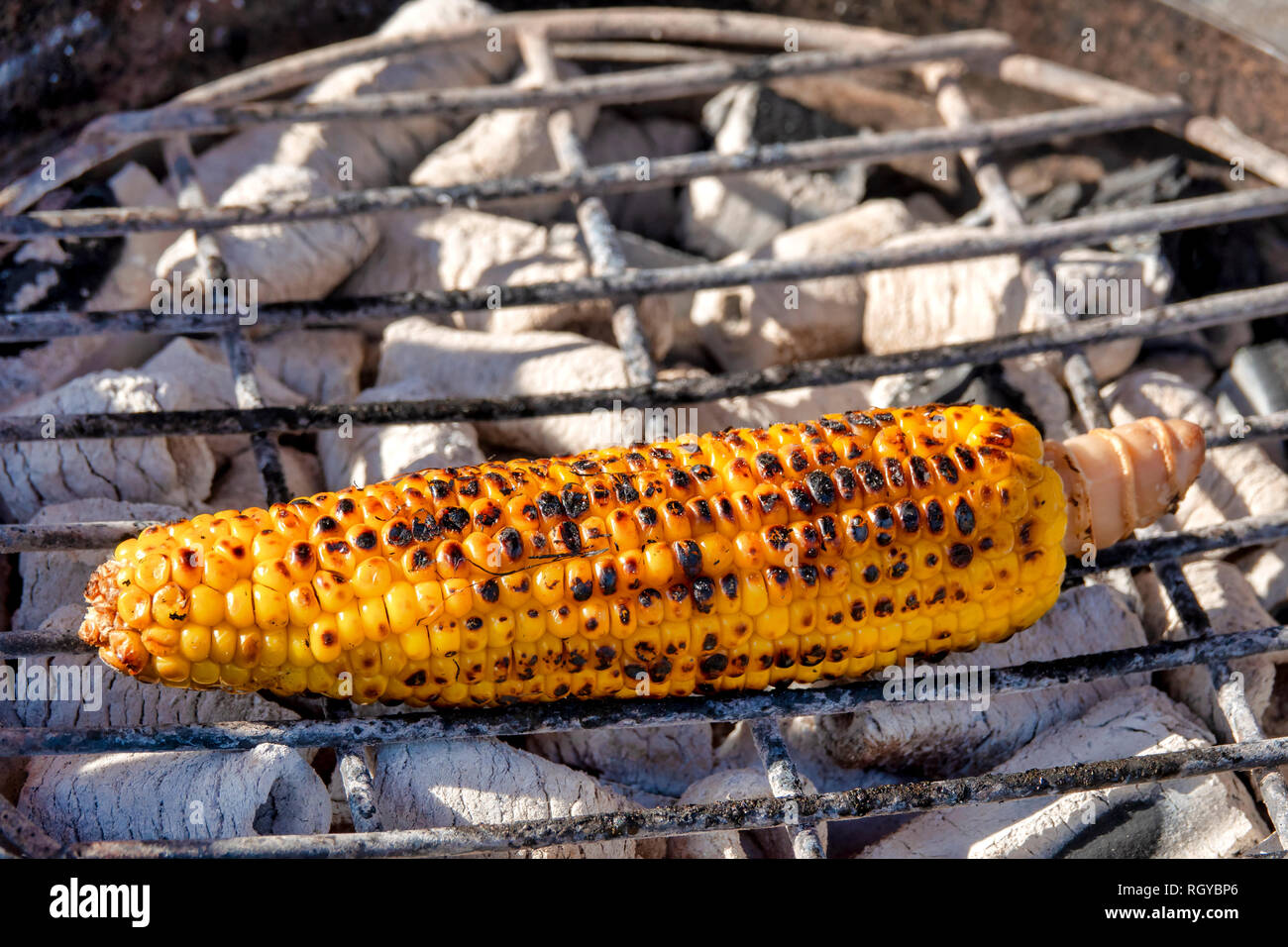 Corn on the cob cooked on hot coals Stock Photo