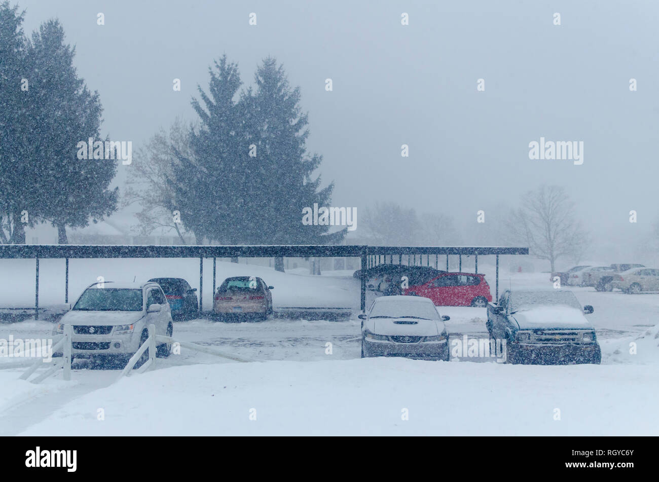 Heavy snow falling on and slowly covering the top of vehicles parked outside of an apartment complex during a heavy snowstorm in Michigan, USA. Stock Photo