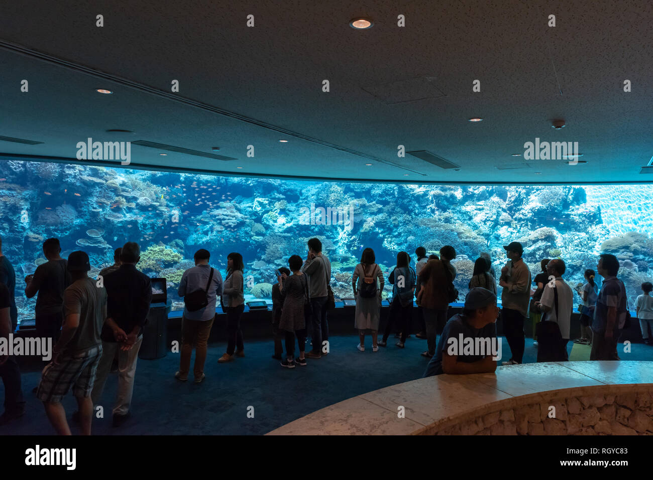 OKINAWA, JAPAN OCT 27 , 2018 Okinawa Churaumi Aquarium in Okinawa